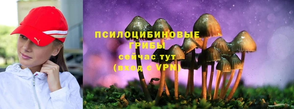 2c-b Алексин