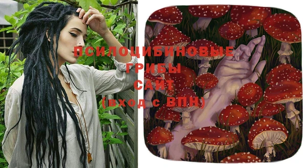 прущий лед Алексеевка
