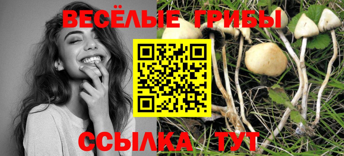 Чебоксары  Псилоцибиновые грибы мицелий  Вход с VPN 