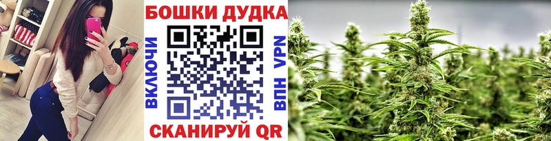 Бошки Шишки OG Kush  дарнет шоп  Чебоксары 
